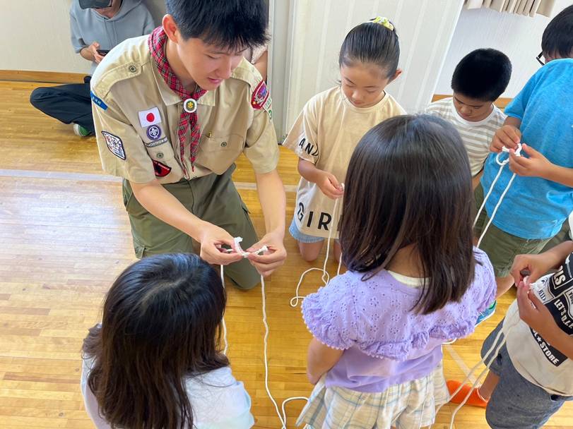 最近の活動