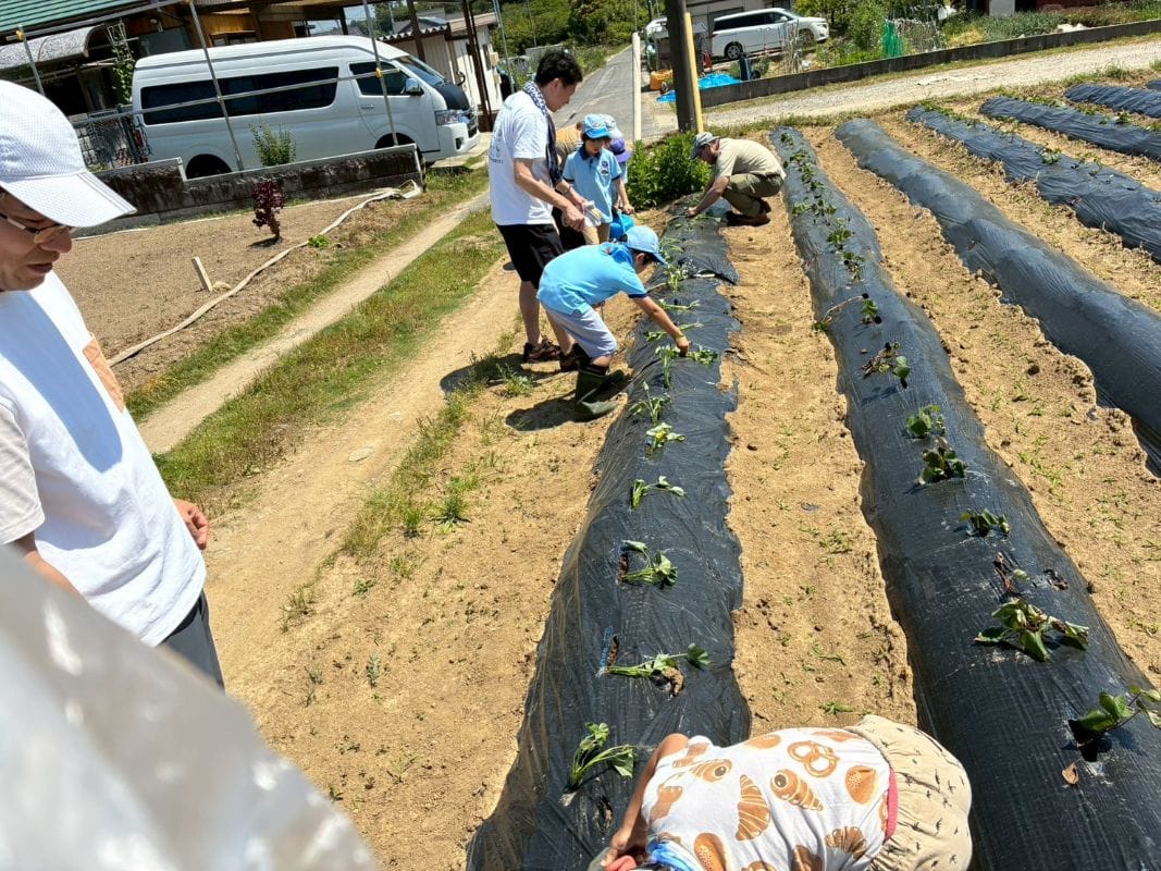 最近の活動