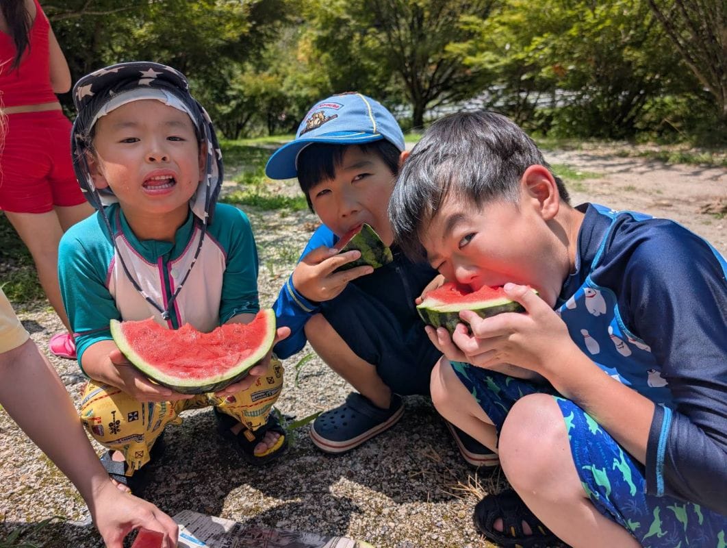 最近の活動
